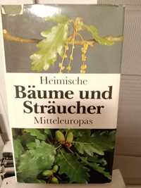 Baume und Straucher , Mitteleuropas.