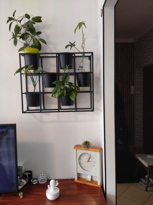 Kwietnik  na ścianę wiszący metalowy 6 osłonek na doniczki  64x52x18 c