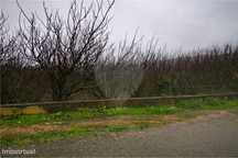 Terreno  para venda