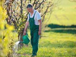 САДІВНИК Послуги садівника у Броварах.