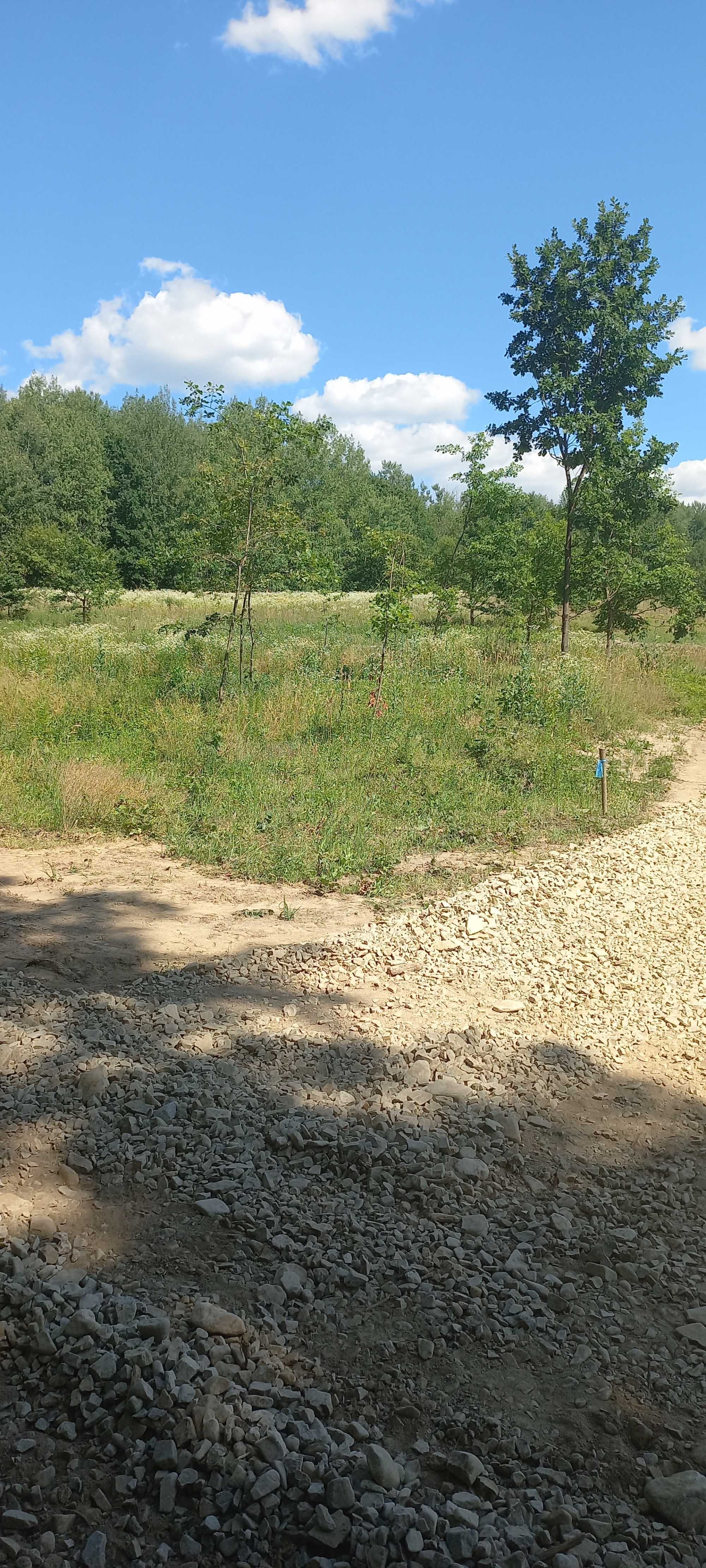 Продається земельна ділянка м.Сторожинець для будівництва центр міста