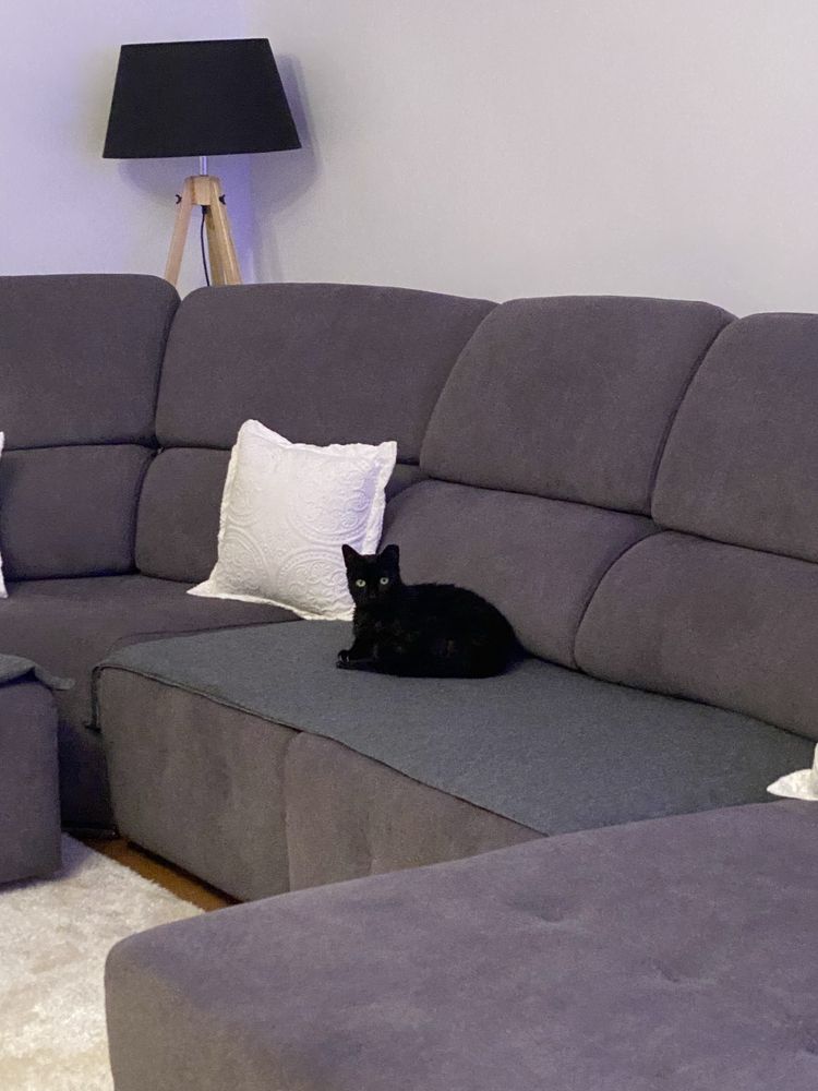 Sofá Chaise Longue