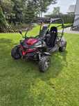 Buggy HIGHPER 250