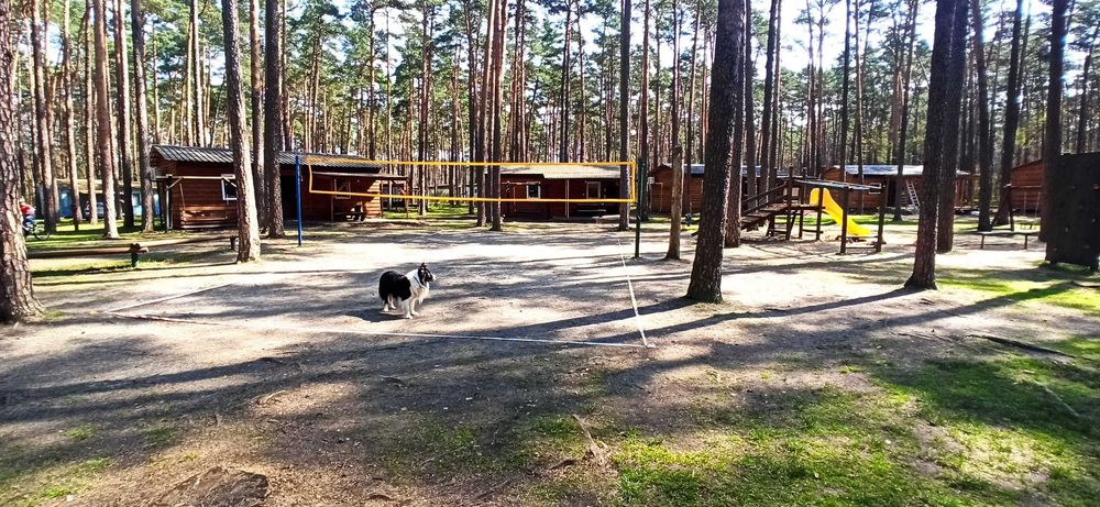 noclegi dla pracowników