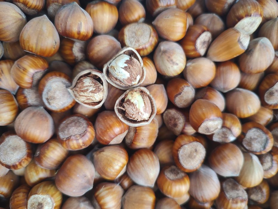 Orzechy laskowe niepryskane 3kg