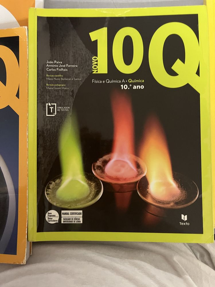 Livros escolares de fisico quimica do 10 e 11 ano, caderno de atvidade