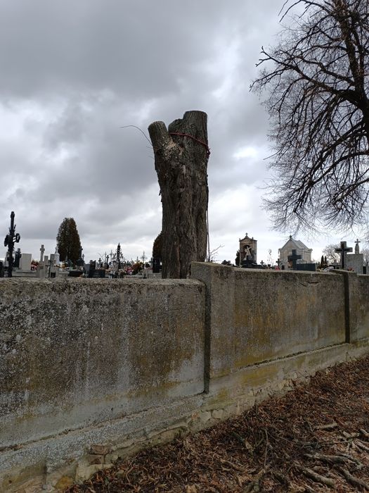 Podnośnik koszowy 23m zwyżka – usługi, wynajem, wycinka drzew, rębak,