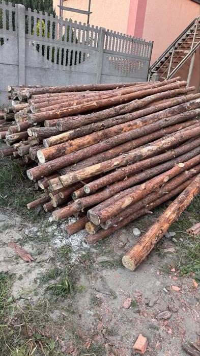 Stemple budowlane długość minimum 2,9m