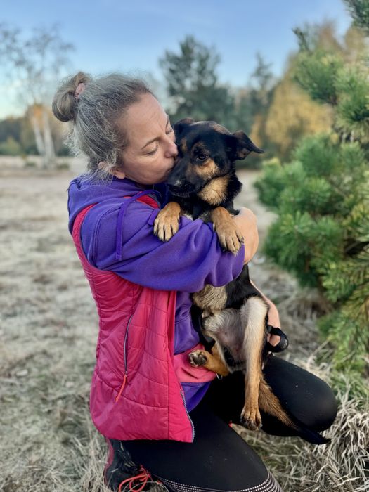 8 kg Gacuś do adopcji! Mikro owczarek, super pies!