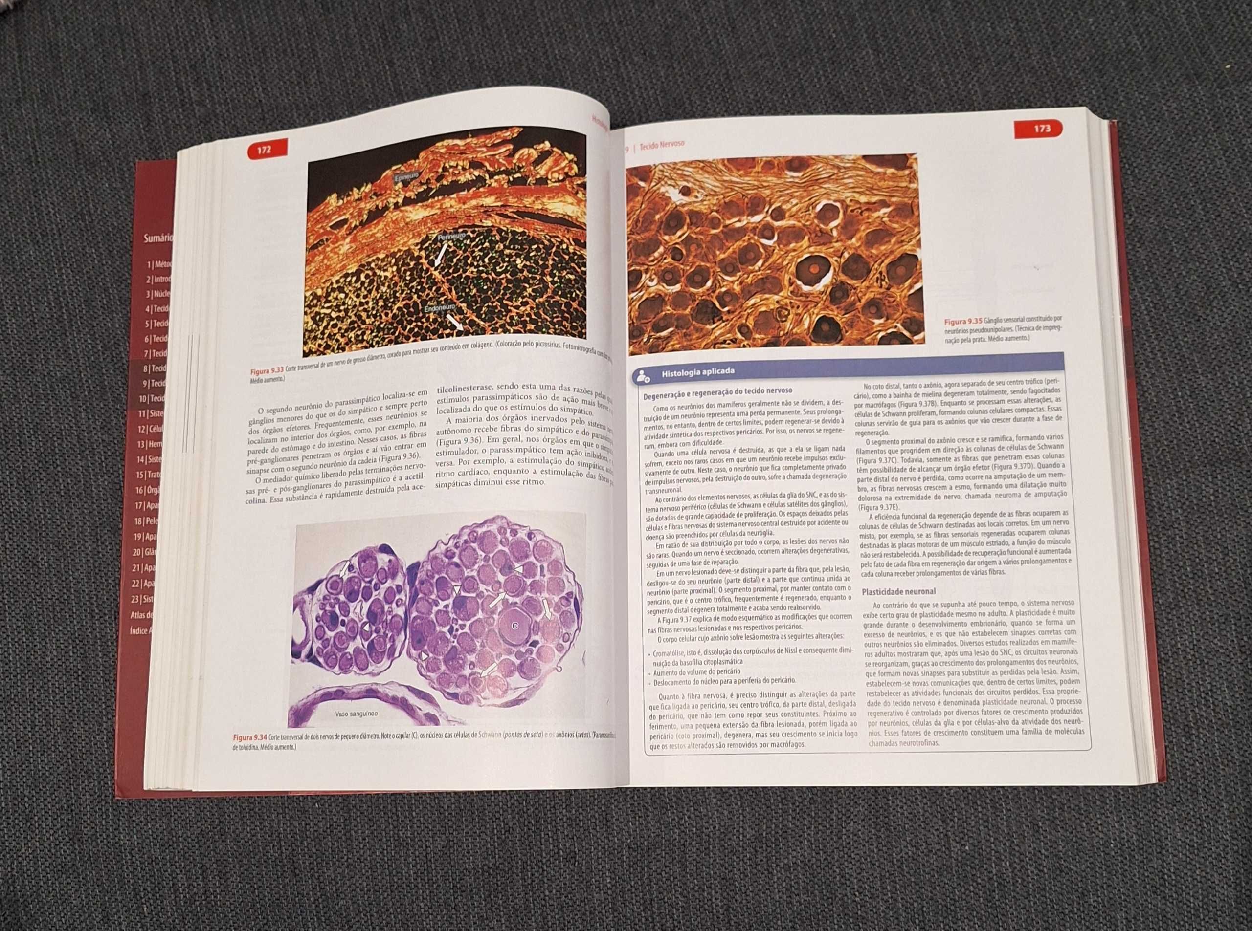 Livro Histologia Básica