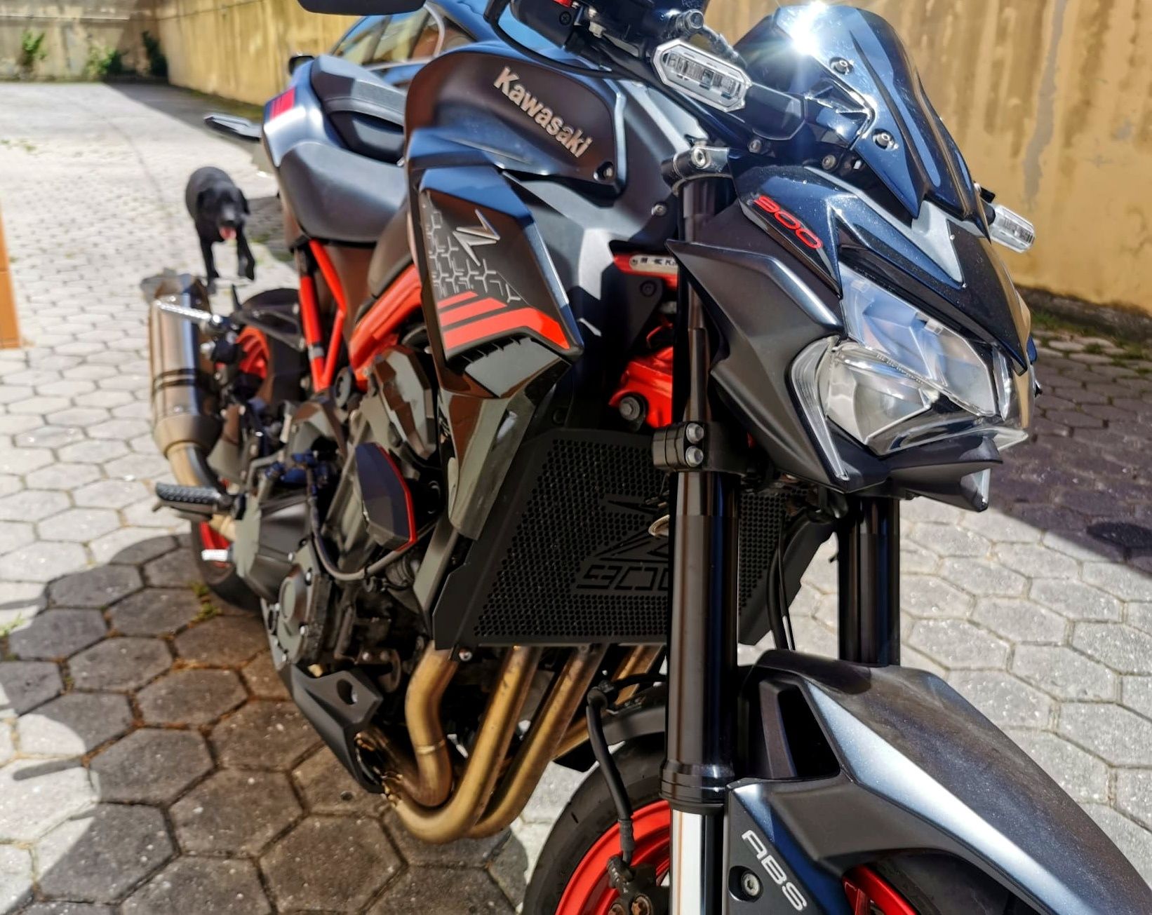 Kawasaki Z900 Akrapovic