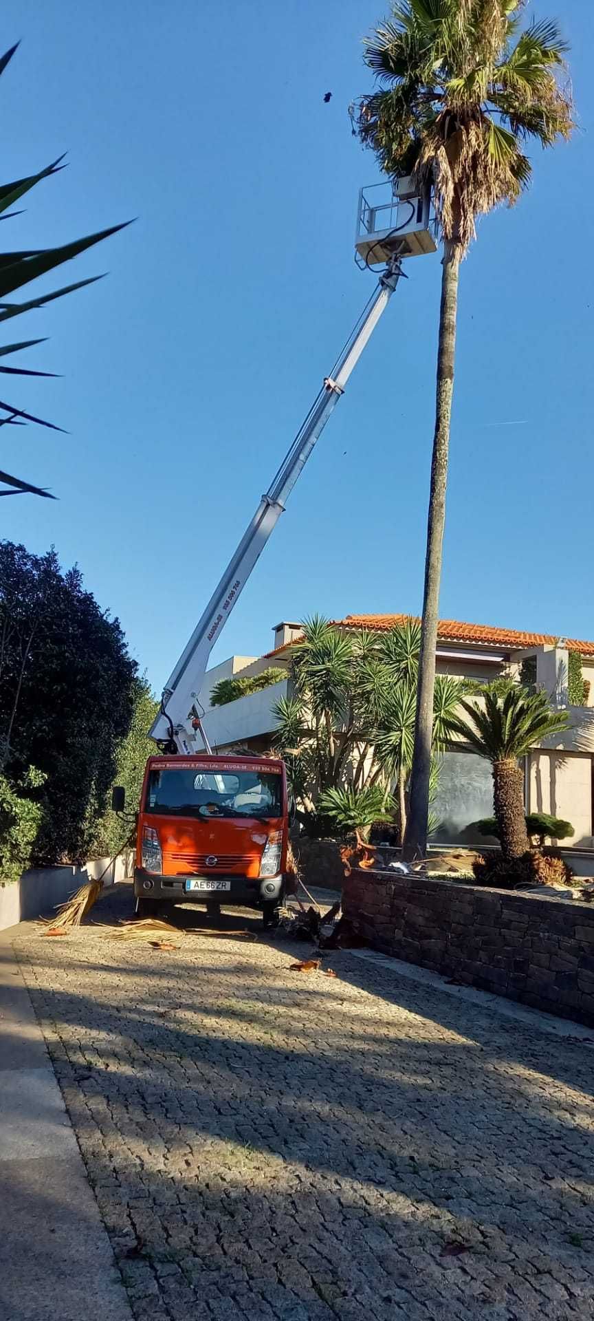 Aluga-se Carrinha Grua de 16/20 metros com cesta para vários serviços