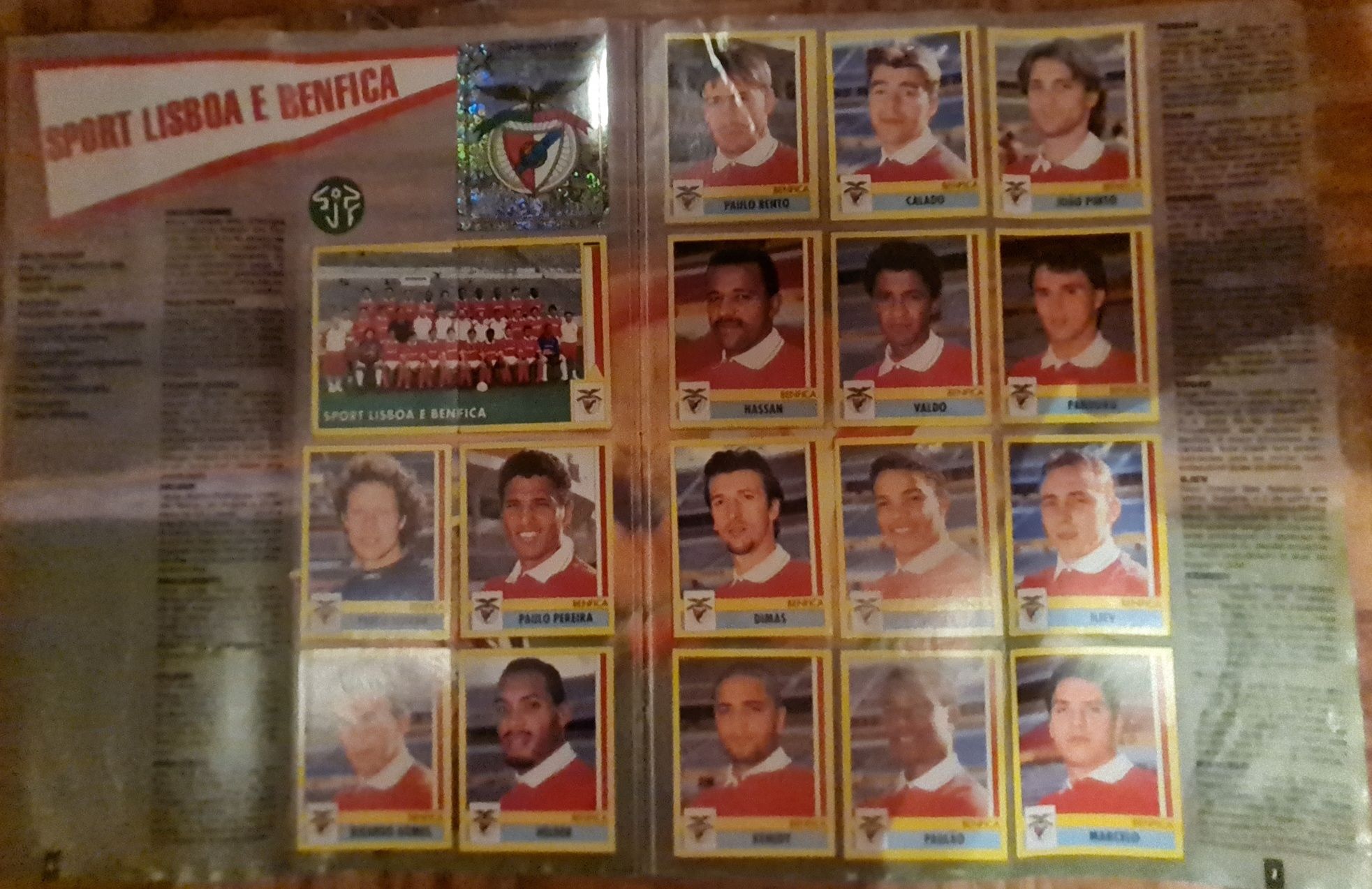 Album Completo Panini 95 1996