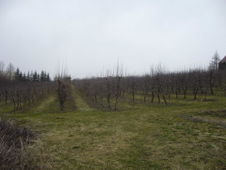 Szczyrzyc Janowice - działka rolno-leśna z potencjałem budowlanym