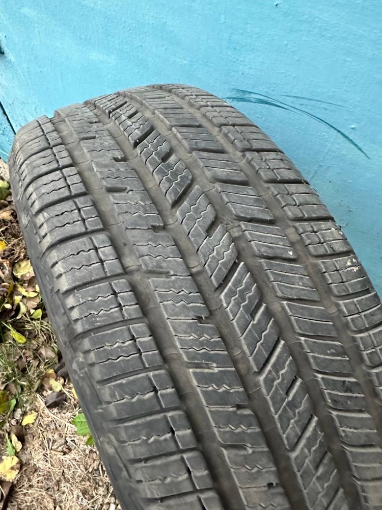 Гума Зимова 2022 рік Bridgestone Driveguard plus "91v" RFT 205 55 R16