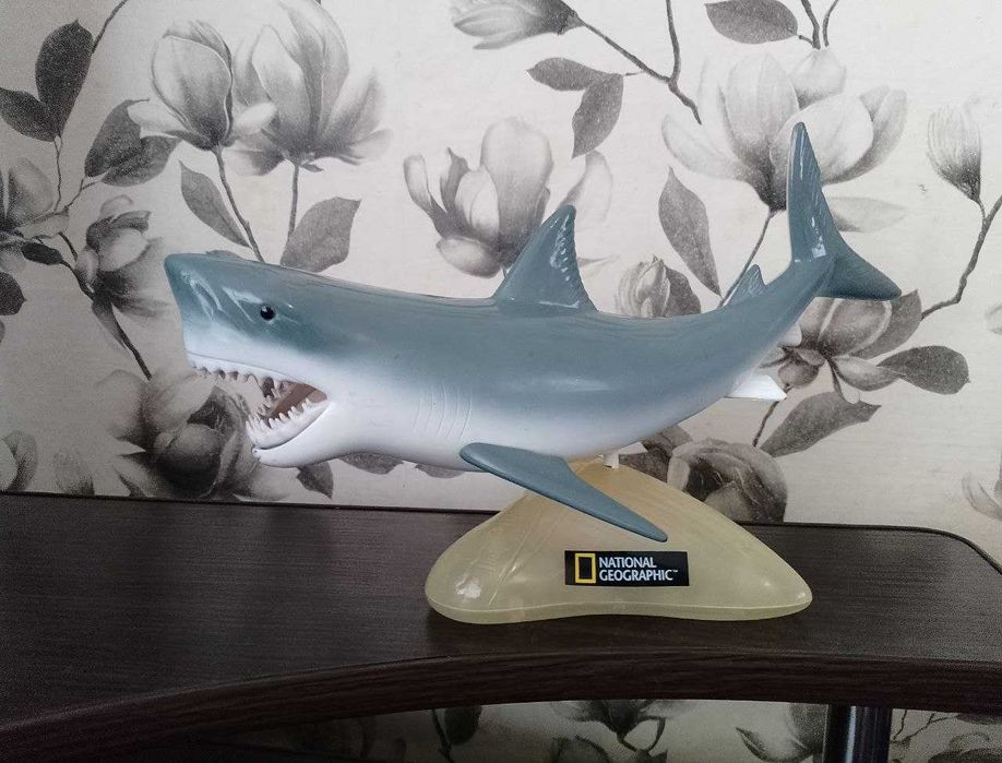 Белая акула, анатомическая (Natiomal Geographic) c подсветкой (33 см)