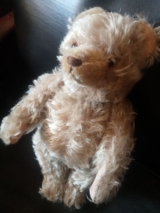 Miś Steiff trociniak twardy , z maszynka do mruczenia sprawna XXw 30cm