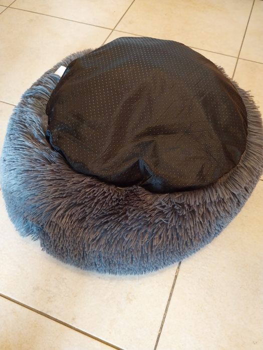 Caminha de gato ou cachorrinho