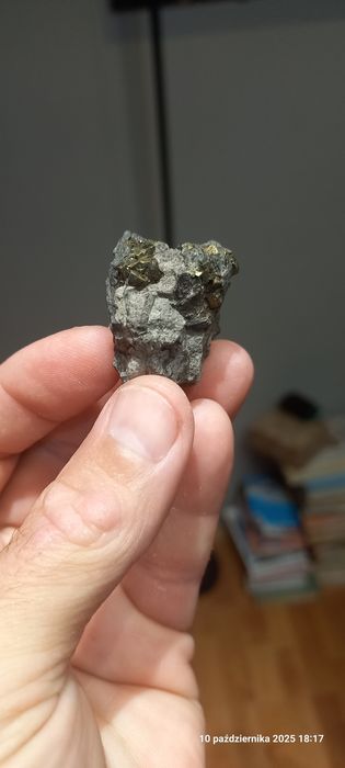 Minerały skamieniałości piryt na łupku.