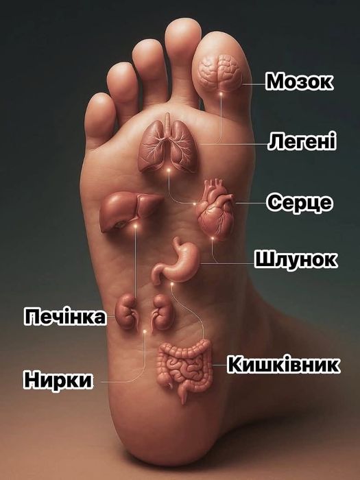 Ваш масажист, Київ