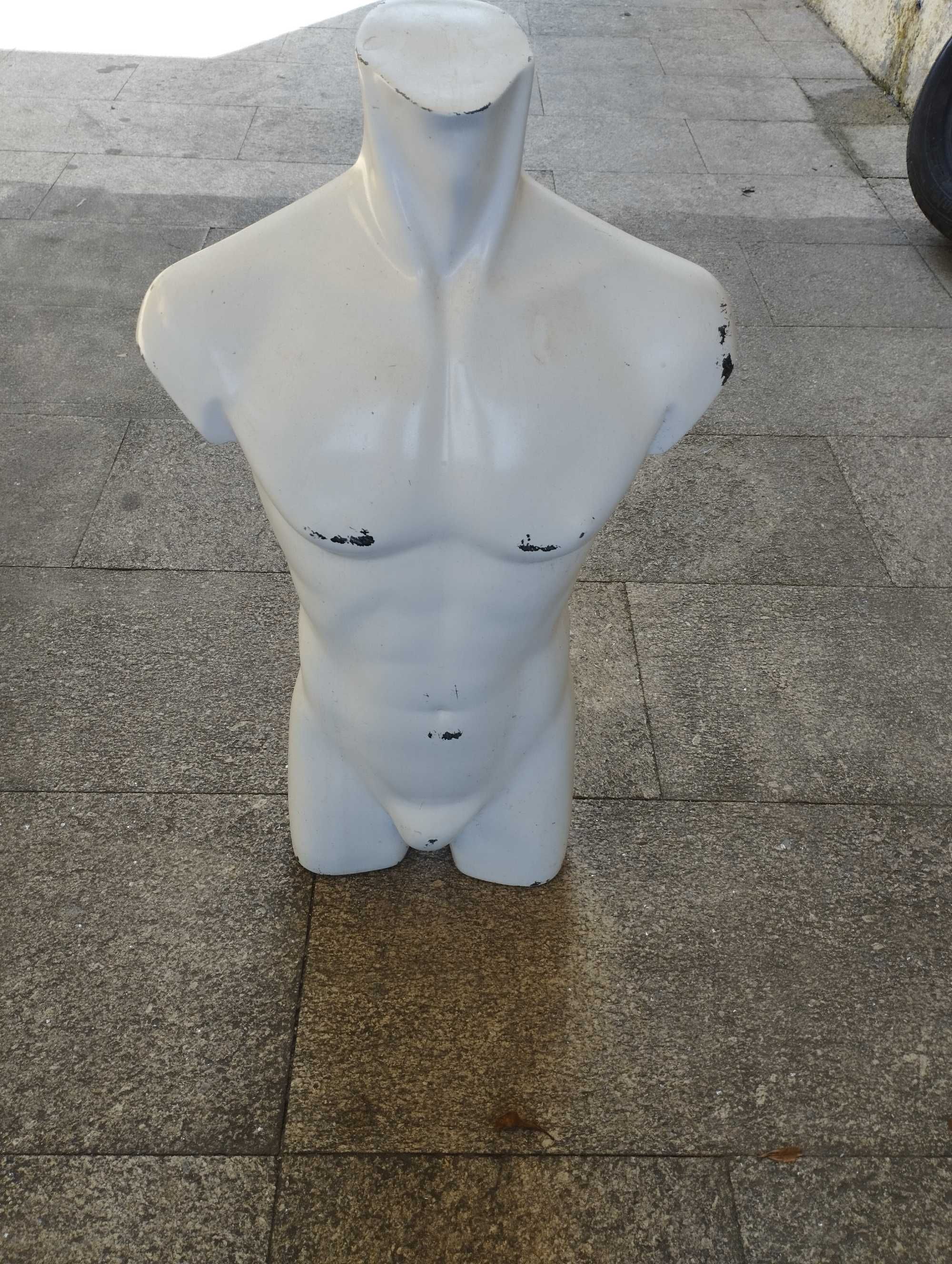 Manequim homem tronco