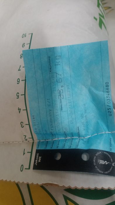 Żyto hybrydowe Danko TUR