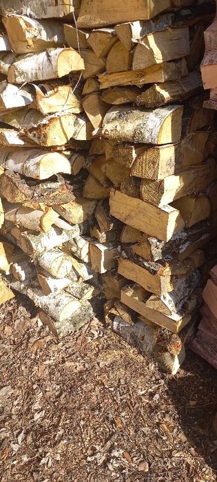 BRZOZA 2024 – Drewno KOMINKOWE | OPAŁ | GRILL | WĘDZENIE | Worki 45l |