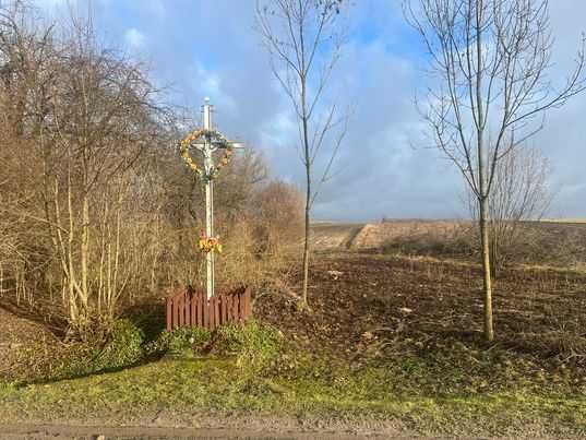 sprzedam działkę budowlano - rolną - Zagaje/ Opatkowice Murowane