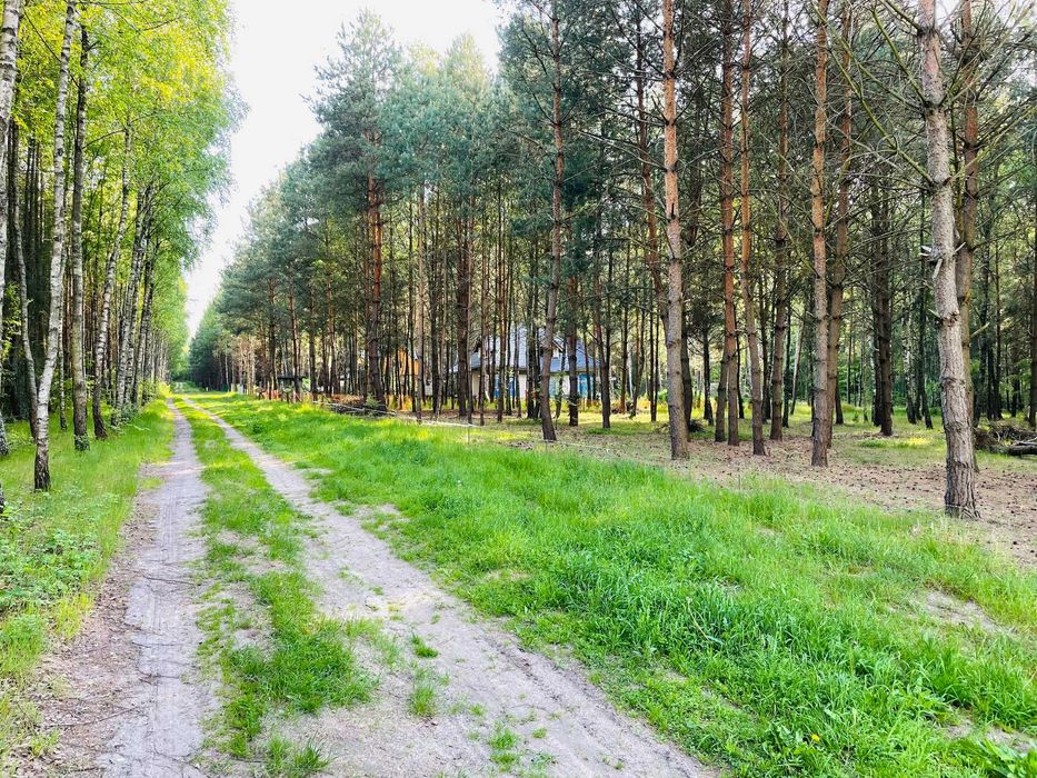Tomawa - działki leśne z warunkami zabudowy, powierzchnia ok 2000m2.