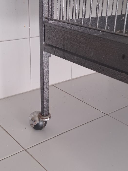 Gaiola Gaiola Gaiola