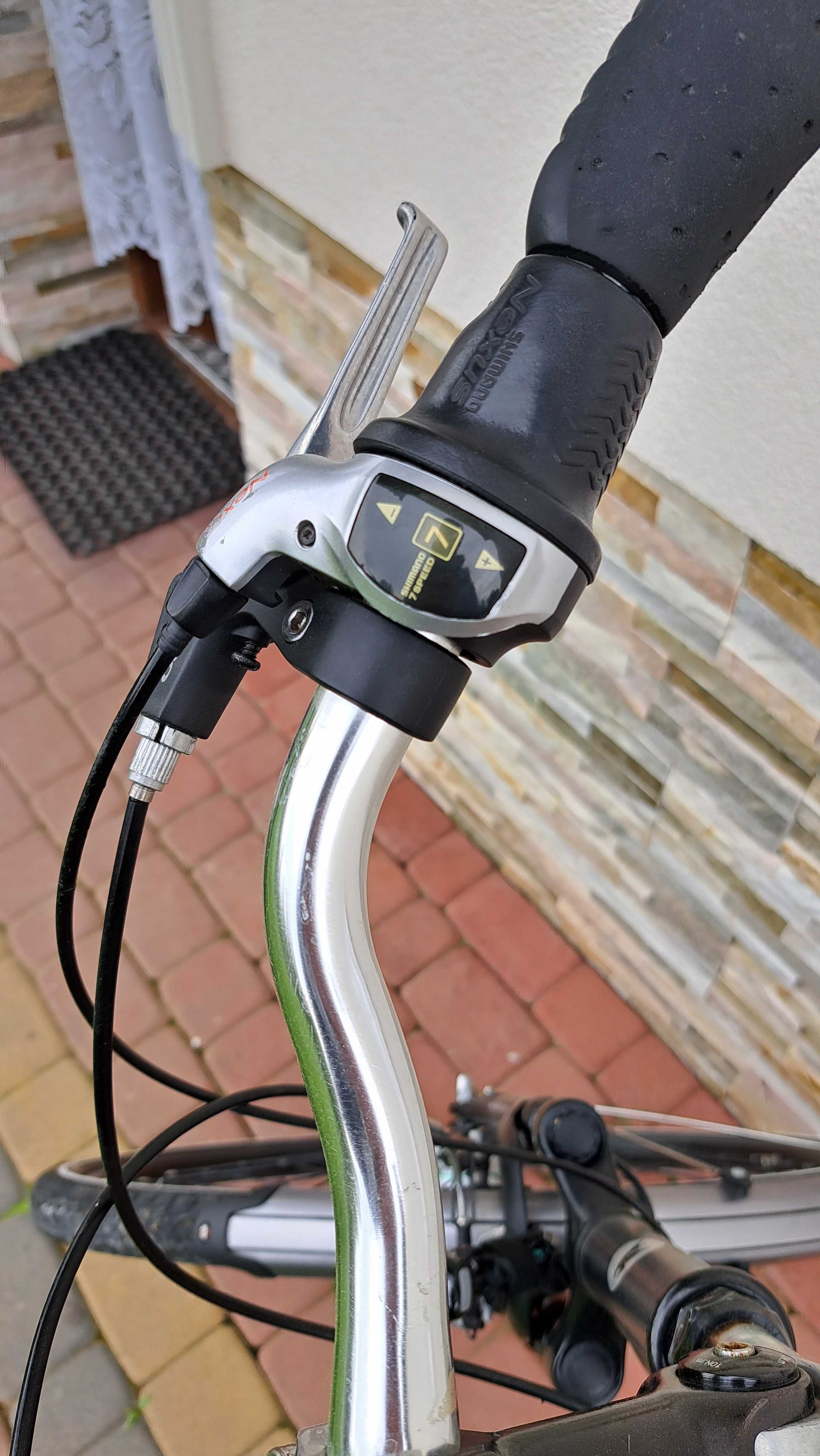 Rower Pegasus Solero