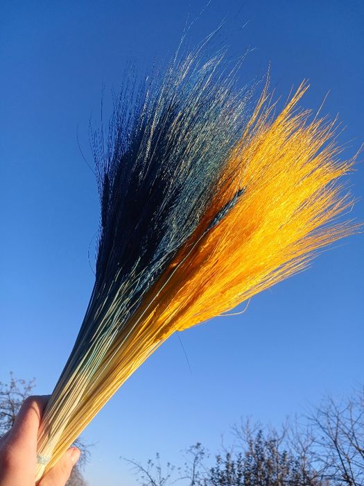 Пшениця Жизель — сухоцвіти для декору і флористики