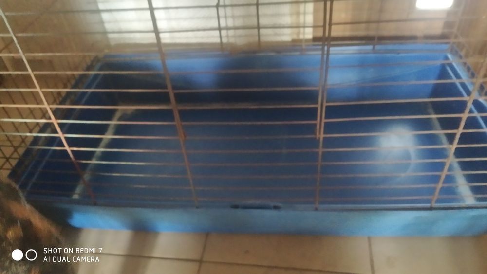 Klatka dla szynszyla,fretki