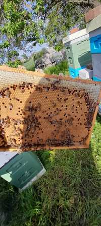 Odklady pszczele 6 ramkowe faktura Vat