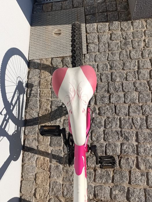 Bicicleta criança Berg Charm 243