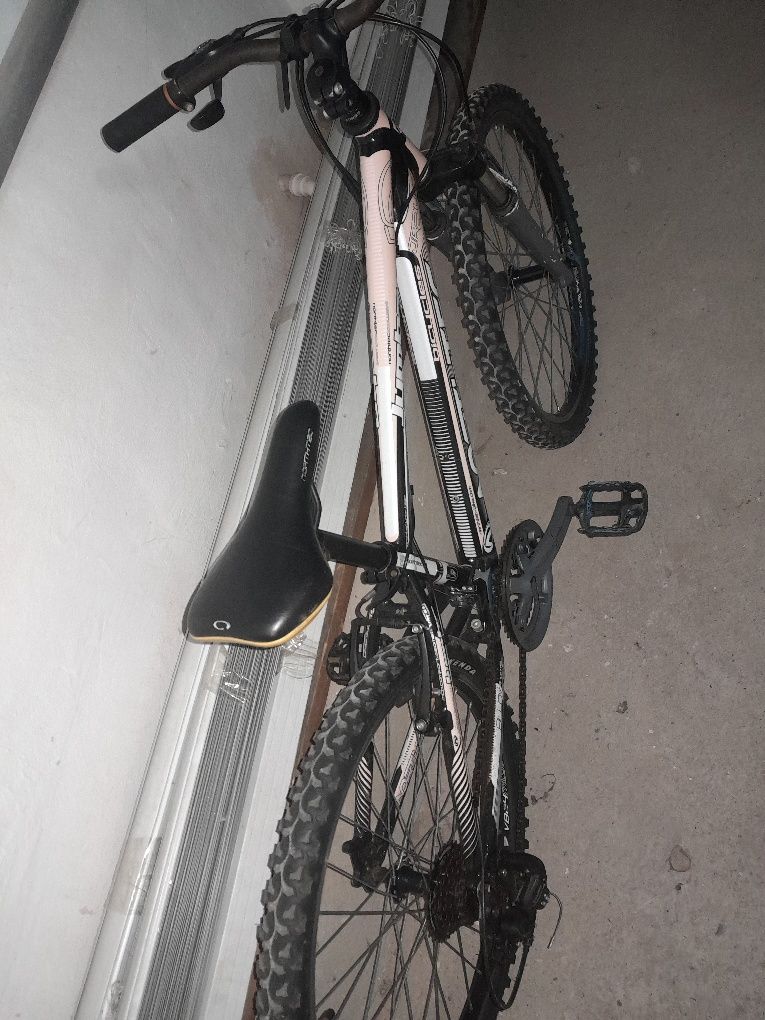 Northtec 24 JUMBO Aluminiowa rama,amor,Shimano Acera,wzmacniane koła