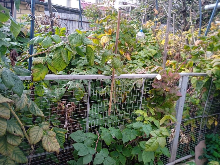 Продам частный дом