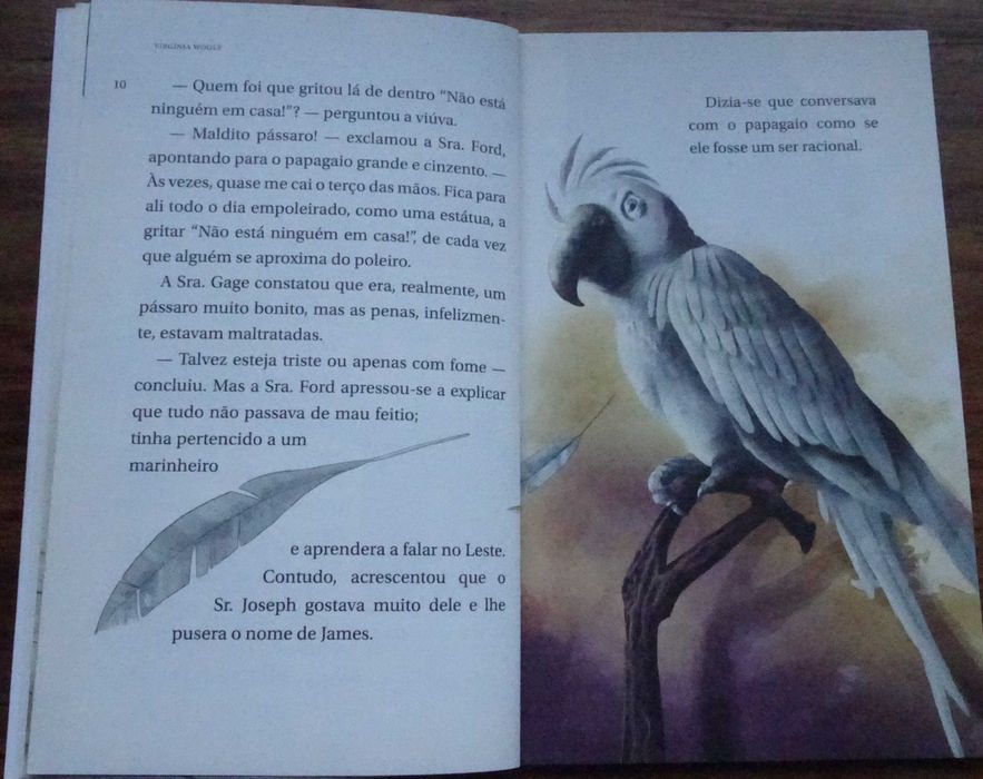 A Viúva e O Papagaio de Virginia Woolf