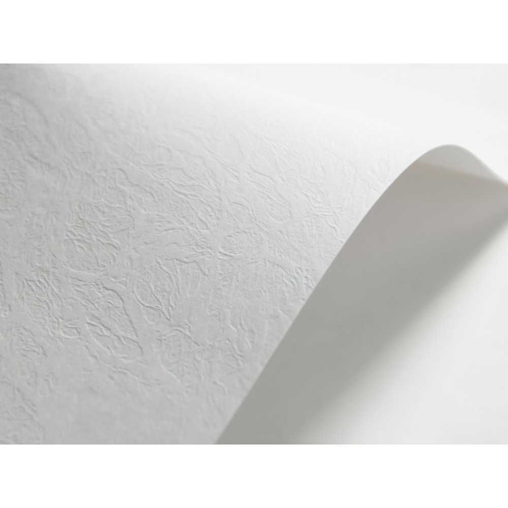papier ryps  ,  skóra kolor biały 246g elfenbens 40 ark A4