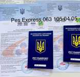 Термінові документи для тваринок закордон
