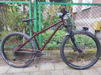 NS BIKES Eccentric Cromo 29"