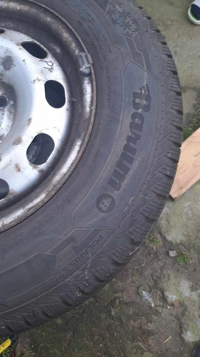 Opony koła zimowe Barum Polaris 5 14" 175/80