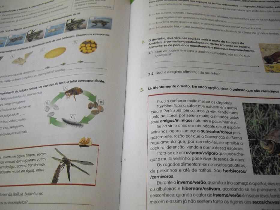 Fichas e Manual Ciências Naturais - 5º ano - Santillana