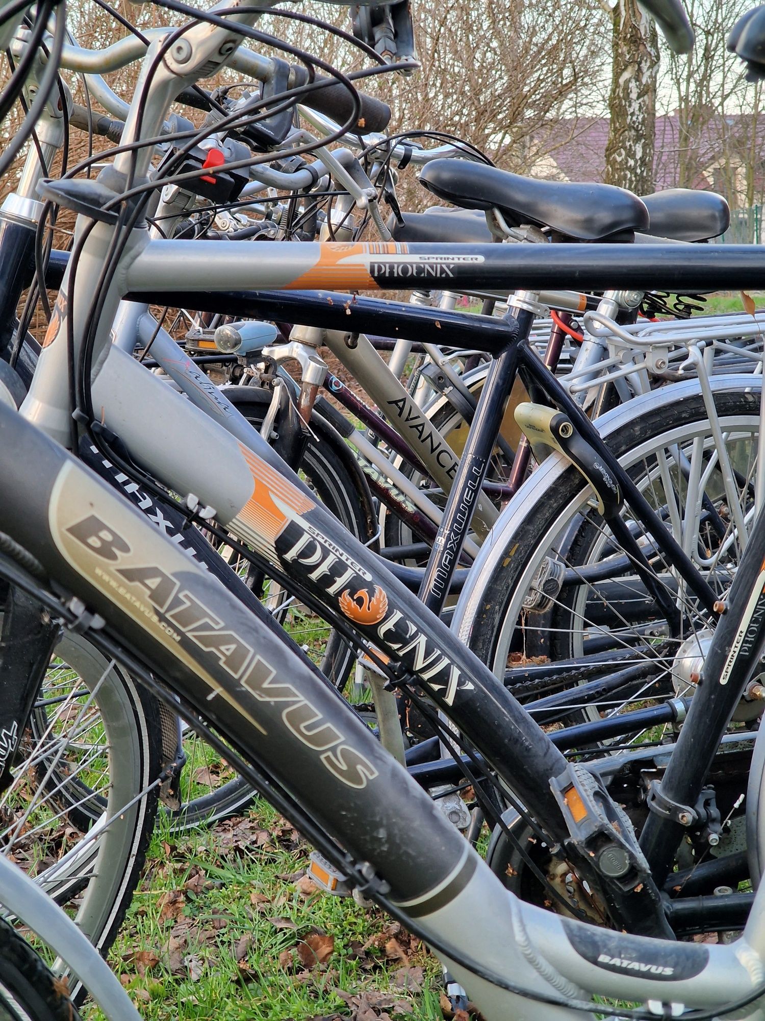 Pakiet rowerów holenderskich 40sztuk gazelle sparta batavus