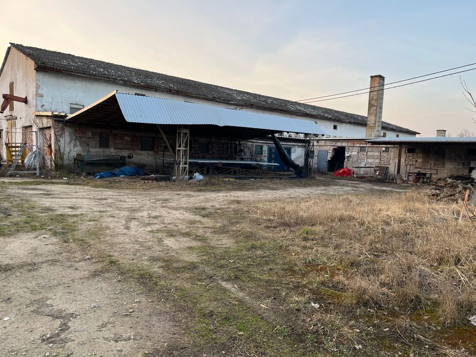 Sprzedam Nieruchomość były PGR