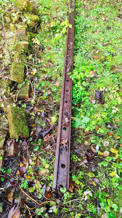 Рейса Жилізнодорожна