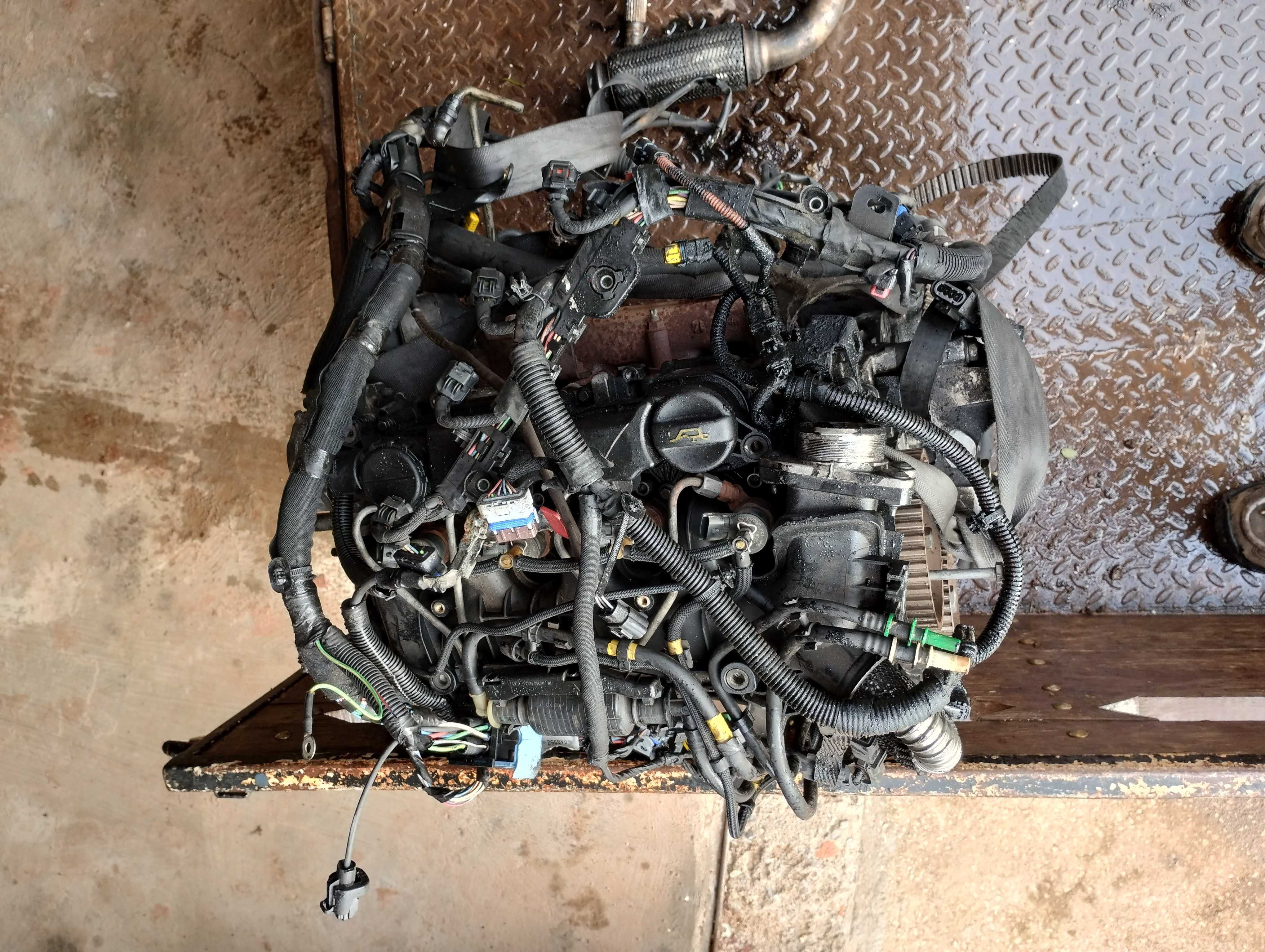 Motor PSA Citroen 1.6 HDI