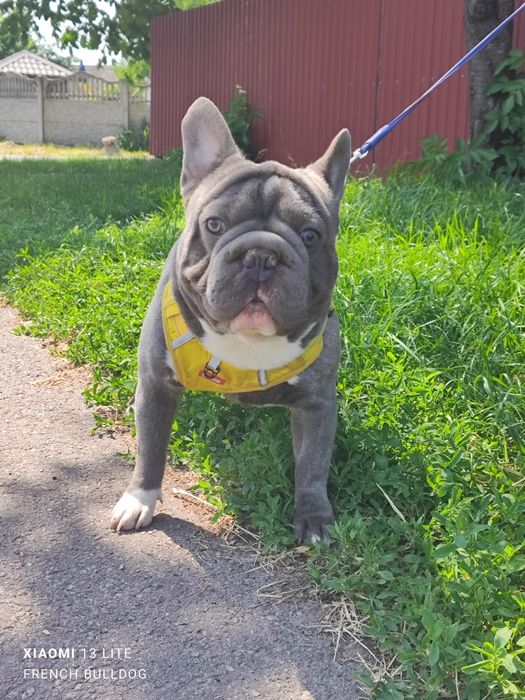 Хлопчик блакитний Биг Роп флаффі.