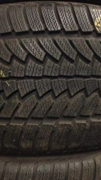 295/30/19 Nokian WR 100V XL N0