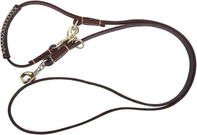 Prawdziwa skóra uchwyt 2w1 smycz dla psów miękka wielofunkcyjne NrD192